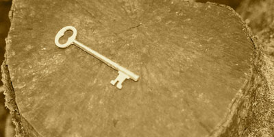 Skeleton key on stump